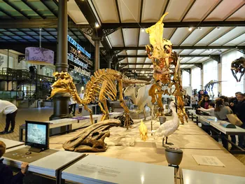 Natural History Museum (Royal Belgian Institute of Natural Sciences) Brussels (Belgium)